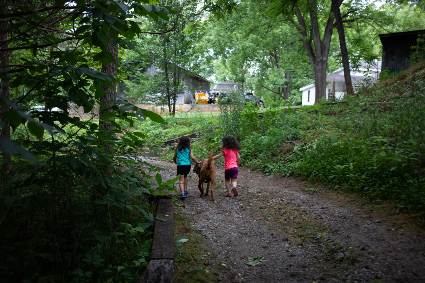 ONE Forest School 20